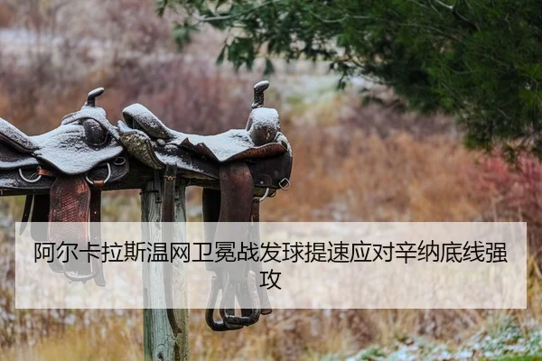 a-er-ka-la-si-wen-wang-wei-mian-zhan-fa-qiu-ti-su-ying-dui-xin-na-di-xian-qiang-gong-2-818.jpg