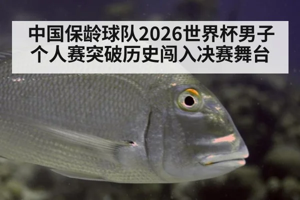 中国保龄球队2026世界杯男子个人赛突破历史闯入决赛舞台